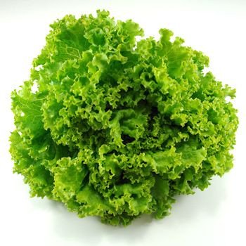 KIVIRCIK