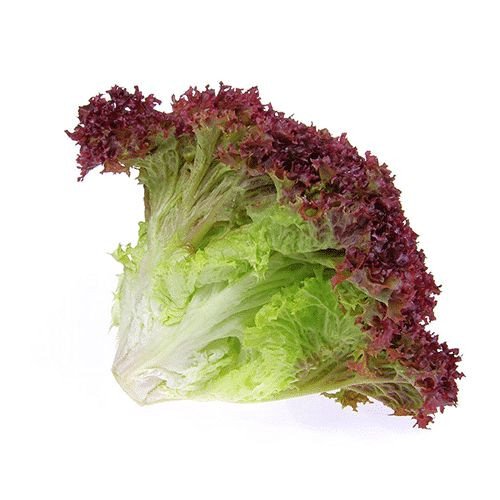 ROLOSOSO