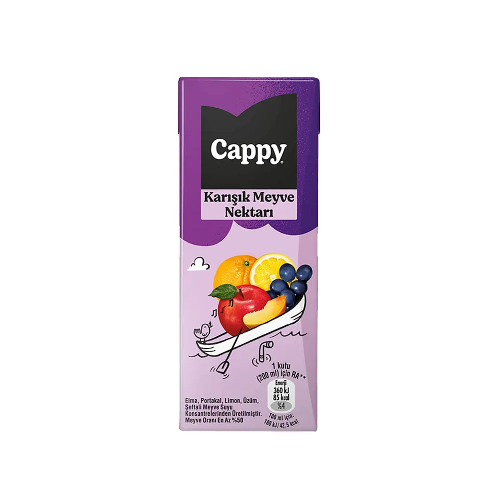 CAPPY KARIŞIK  MEYVE SUYU 200 ML
