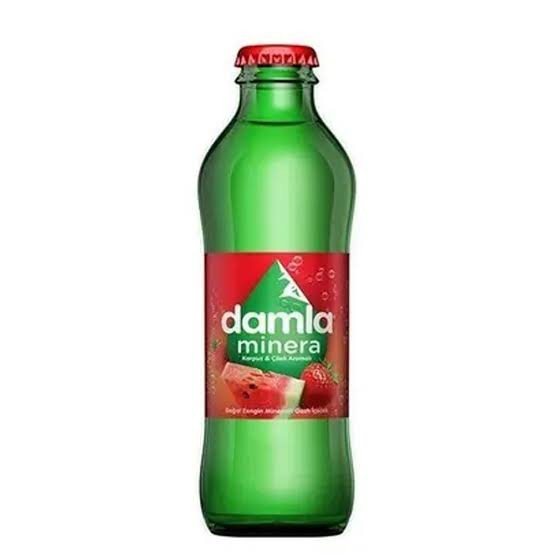 DAMLA KARPUZ ÇİLEK AROMALI SODA 200 ML